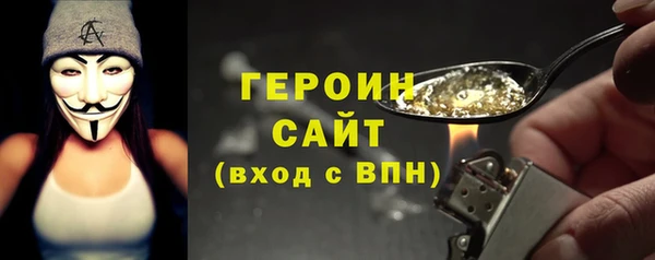 гашик Алексин