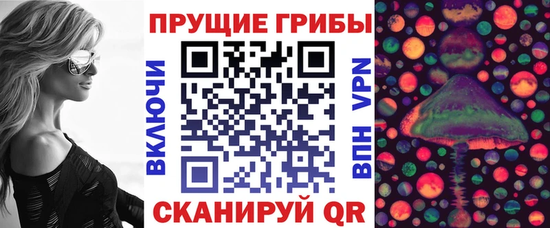 Галлюциногенные грибы Psilocybe даркнет сайт Усть-Лабинск