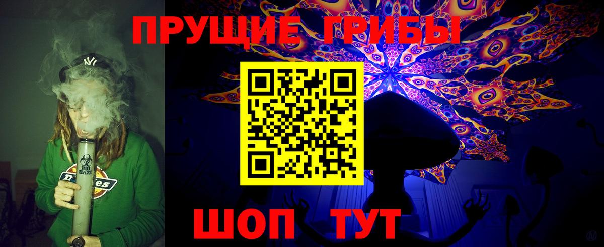 Галлюциногенные грибы Psilocybine cubensis Усть-Лабинск