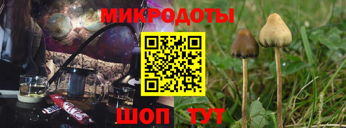 Усть-Лабинск  Псилоцибиновые грибы GOLDEN TEACHER  Вход с VPN 
